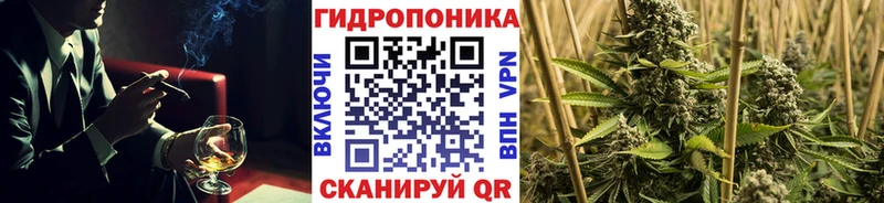 Купить наркотики цена Качканар КОКАИН  ОМГ ОМГ зеркало  Меф мяу мяу 