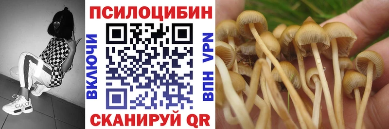 сайты даркнета наркотические препараты  Качканар  Галлюциногенные грибы Psilocybine cubensis  продажа наркотиков 